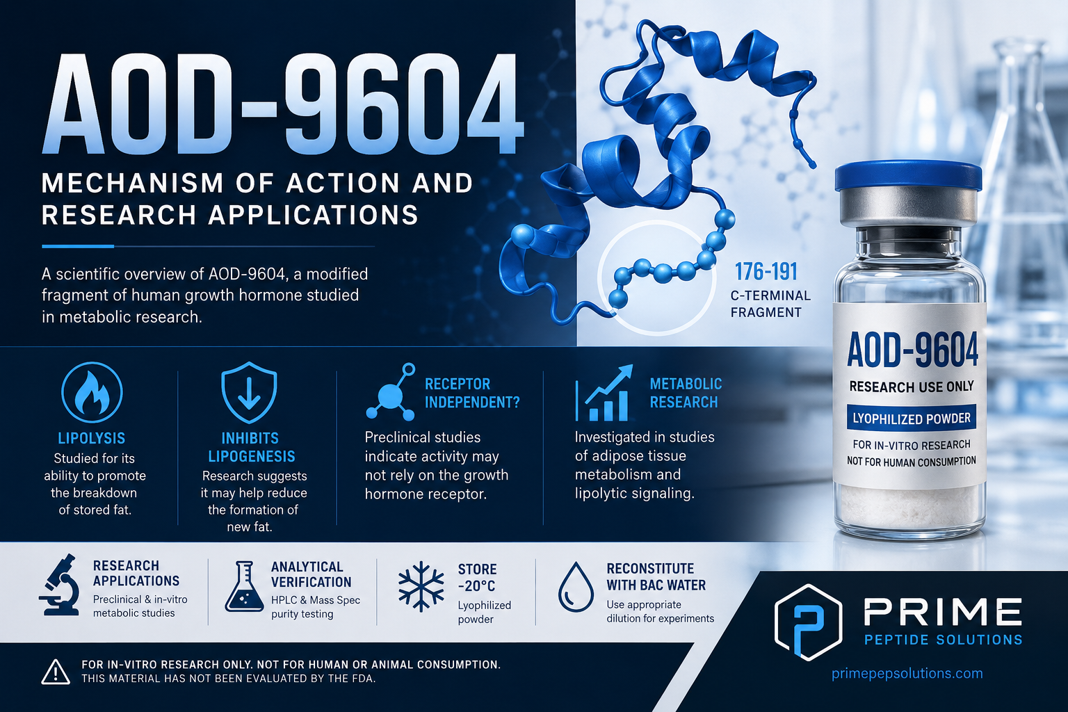 AOD-9604: Mechanism of Action and Research Applications